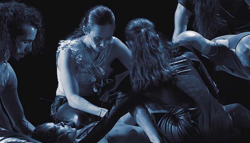 Danseurs de Counting Stars With You