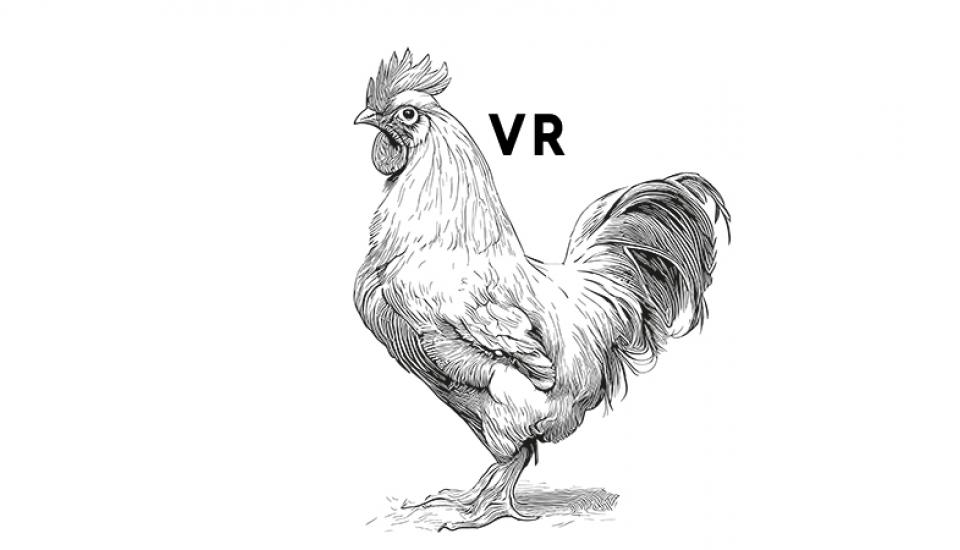 Gravure de coq et sigle VR, pour réalité virtuelle